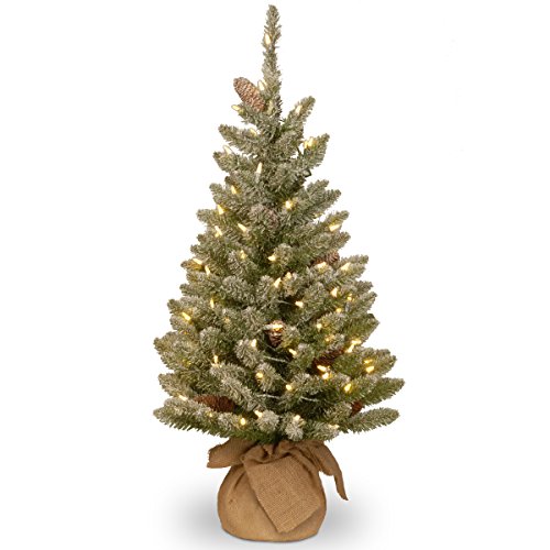 Seasonal & Holiday Decor item