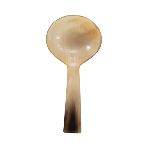 Creative Co-Op Horn Spoon