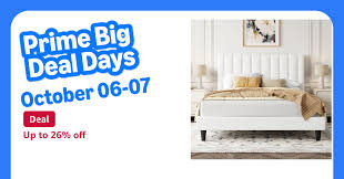 Bedroom Furniture item